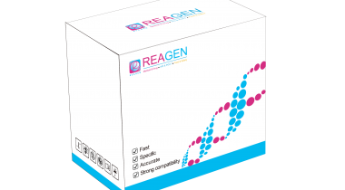 對(duì)蝦副溶血性弧菌恒溫核酸檢測(cè)試劑盒（免提?。? />
                            </a>
                        </div>
                                            </div>
                </div>
                <div   id="d79foxjnx"   class="col-lg-5">
                    <div   id="d79foxjnx"   class="product-intro">
                        <h1 class=